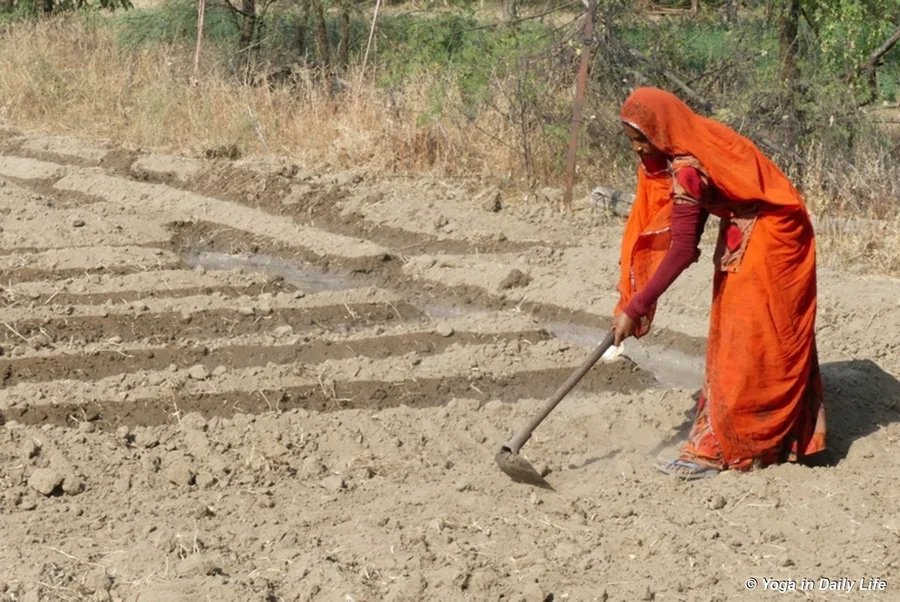 Preparing a space for green onion seedlings